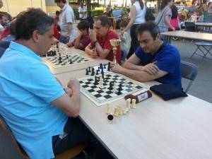 fi curs 2015 (7)